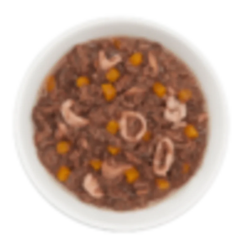 Tiki Cat Aloha Friends Grain Free Tuna with Calamari and Pumpkin Cat Food