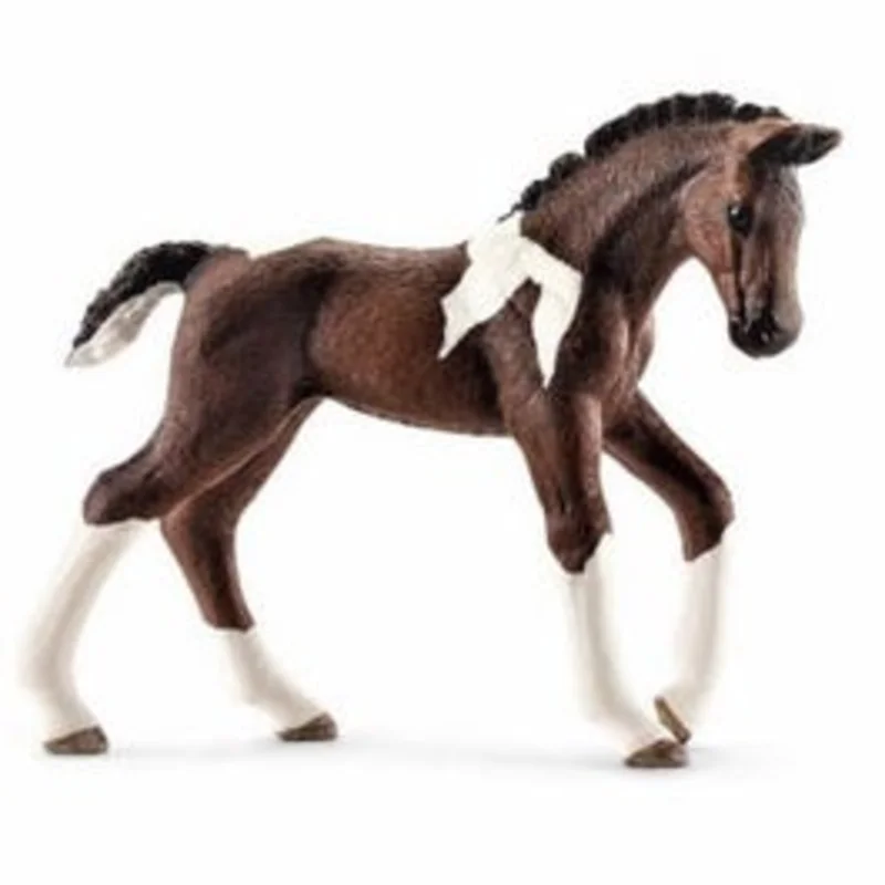 Trakehner Foal