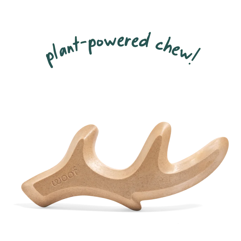 Woof HonestChew Antler Dog Treats